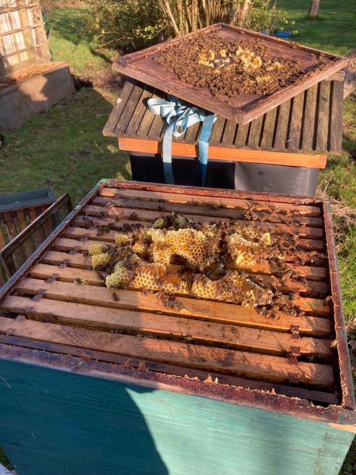 Brace comb, on top of a brood box.